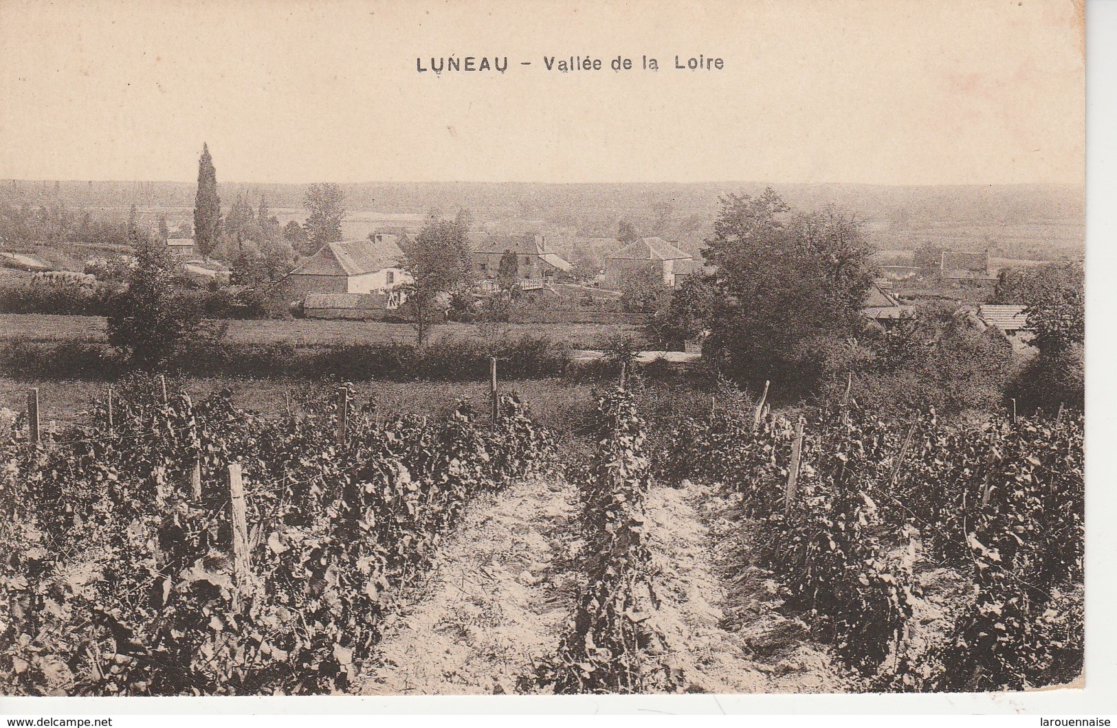 03 - LUNEAU - Vallée De La Loire - Altri & Non Classificati