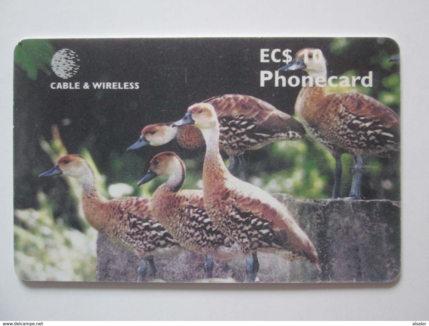 TELECARTE D'ANTIGUA : OISEAUX - Gallinaceans & Pheasants