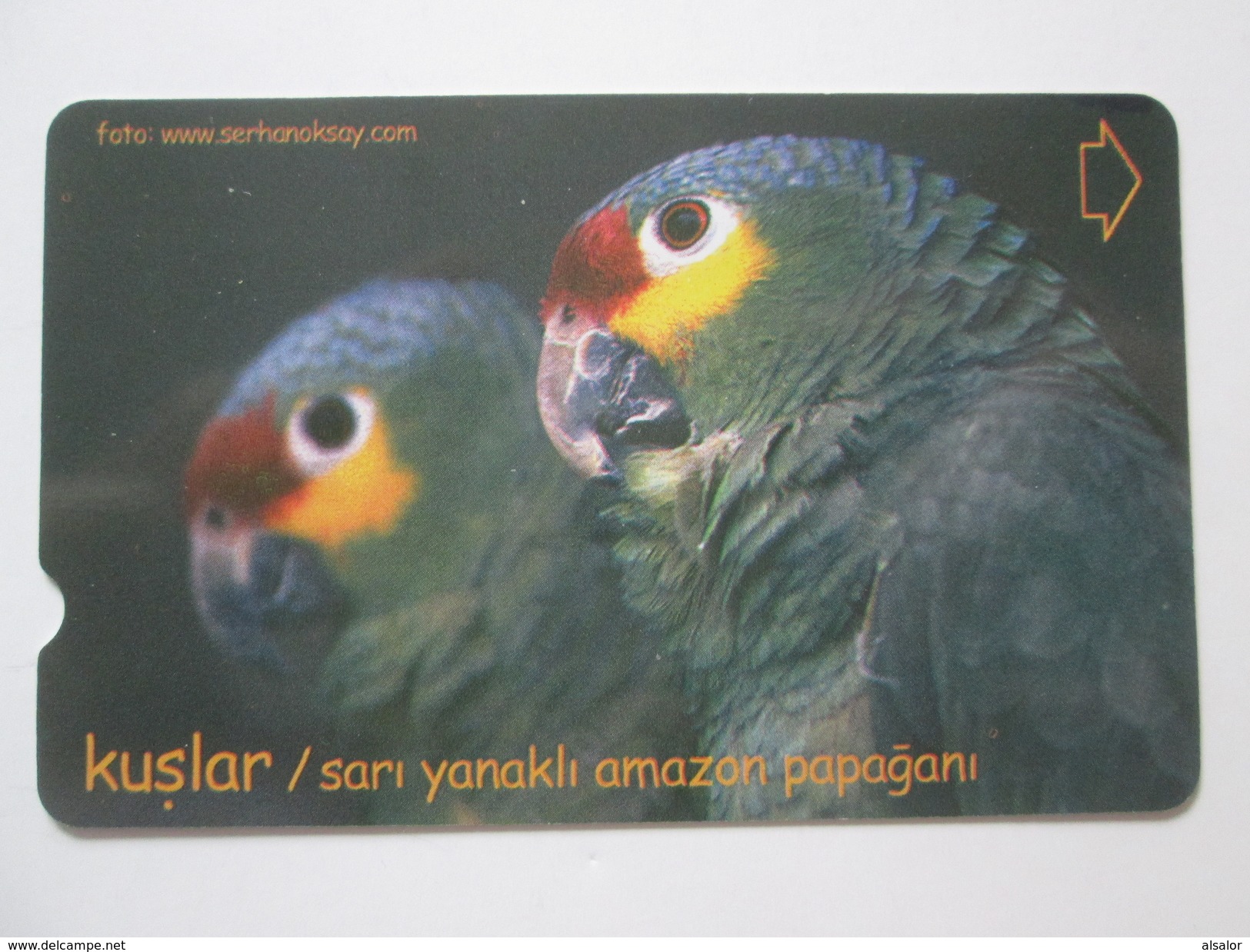 TELECARTE DE TURQUIE : PERROQUETS - Parrots