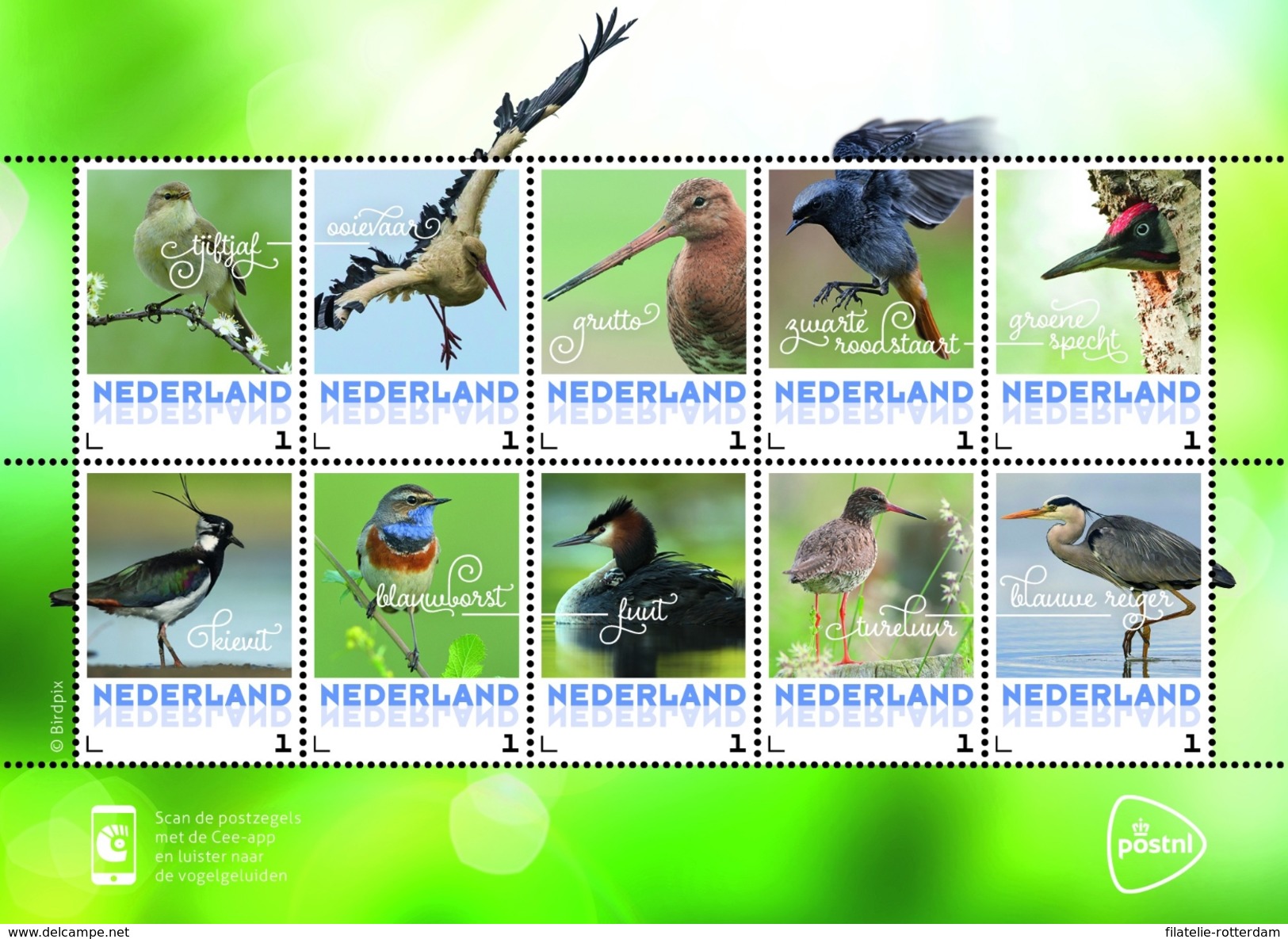 Nederland / The Netherlands - Postfris / MNH - Sheet Lentevogels 2017 NEW! - Nuevos