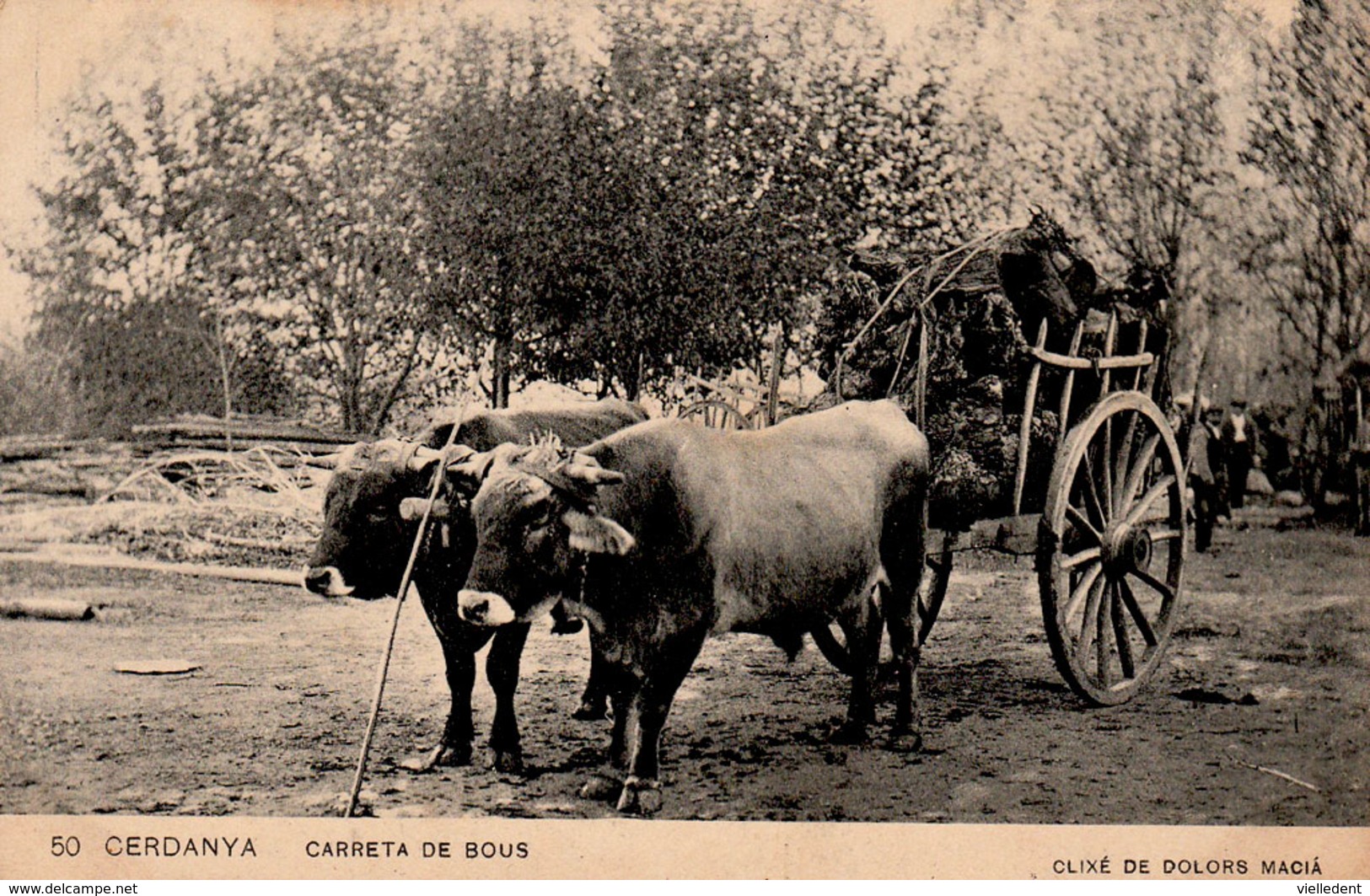 CATALOGNE - CERDANYA - Carreta De Bous - CERDAGNE - Attelage De Boeufs - Cpa Non écrite En Bon état - Rare - 2 Scans - Equipos