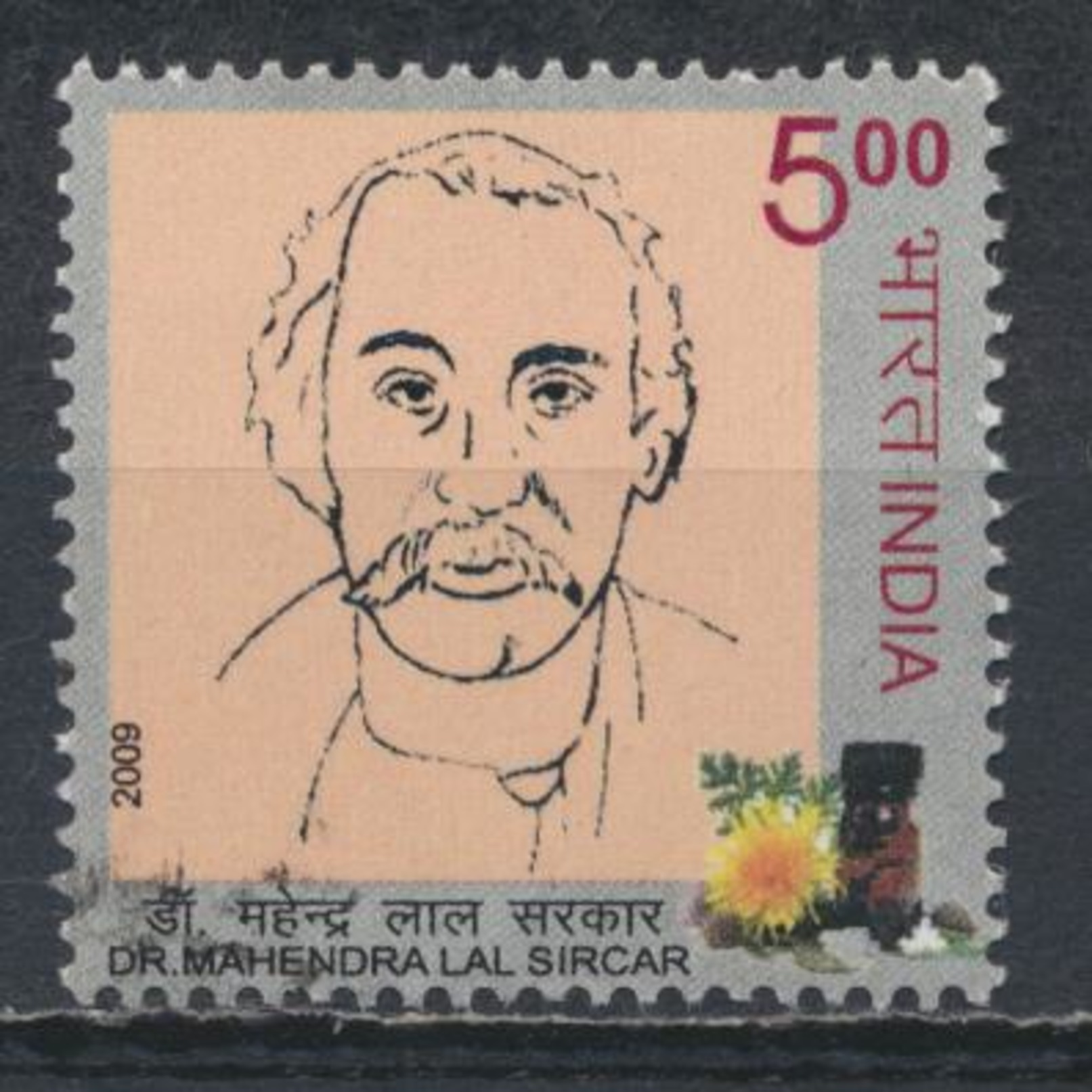 °°° INDIA - Dr. MAHENDRA LAL SIRCAR - 2009 °°° - Used Stamps