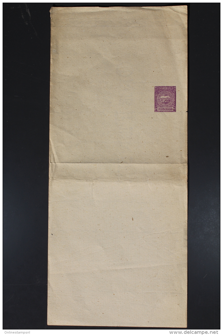 New South Wales: Newspaper Wrapper Unused  One Penny - Briefe U. Dokumente