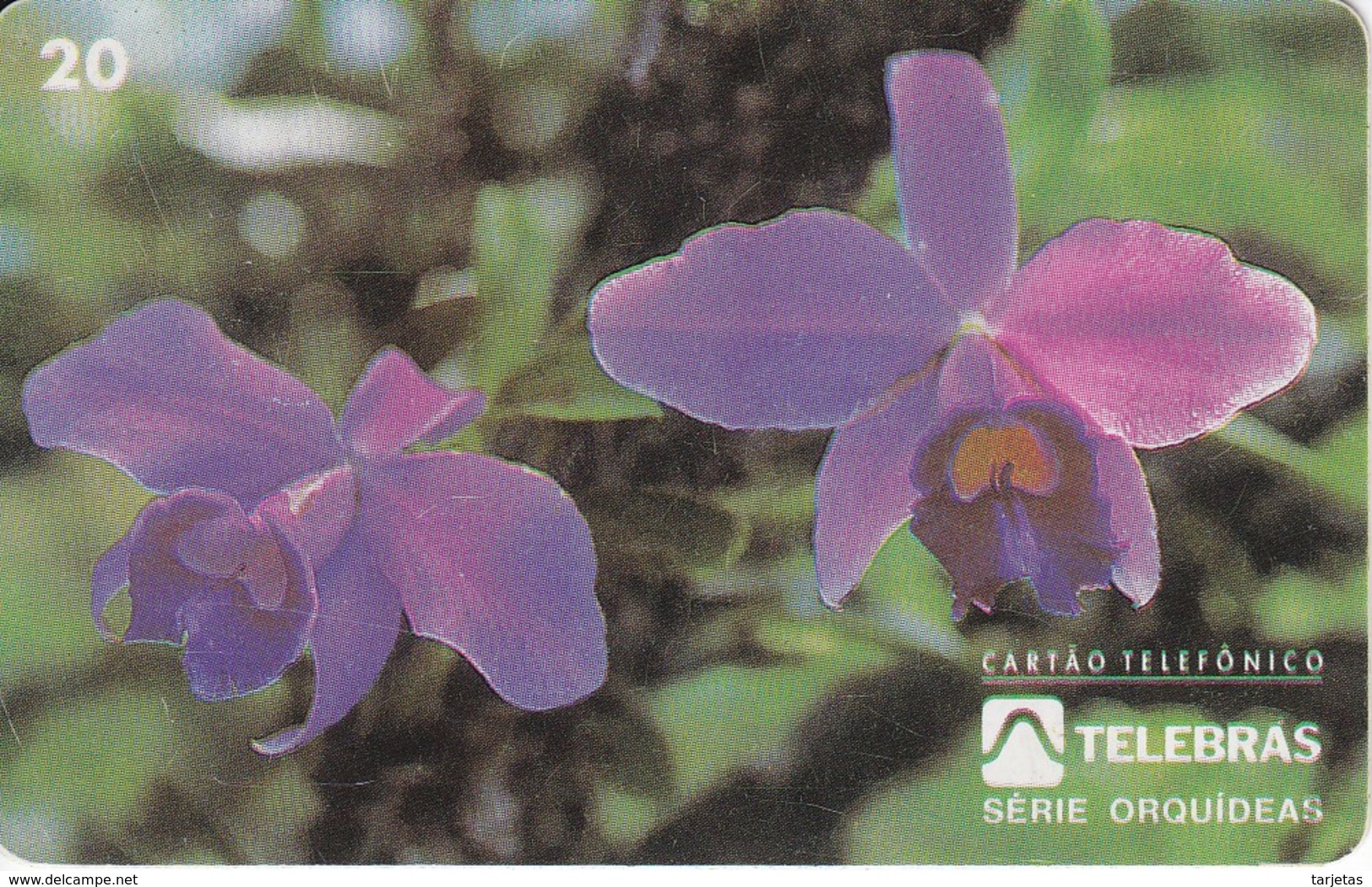 TARJETA DE BRASIL DE UNA ORQUIDEA (ORCHID) FLOR-FLOWER - Flores