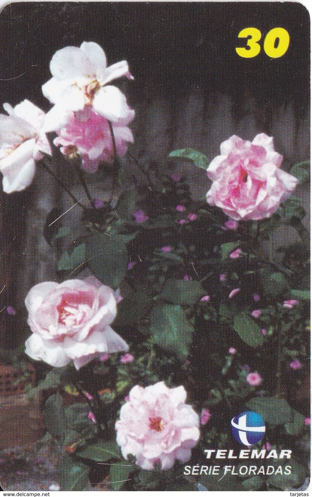 TARJETA DE BRASIL DE UNA ROSA (FLOR-FLOWER) - Flores