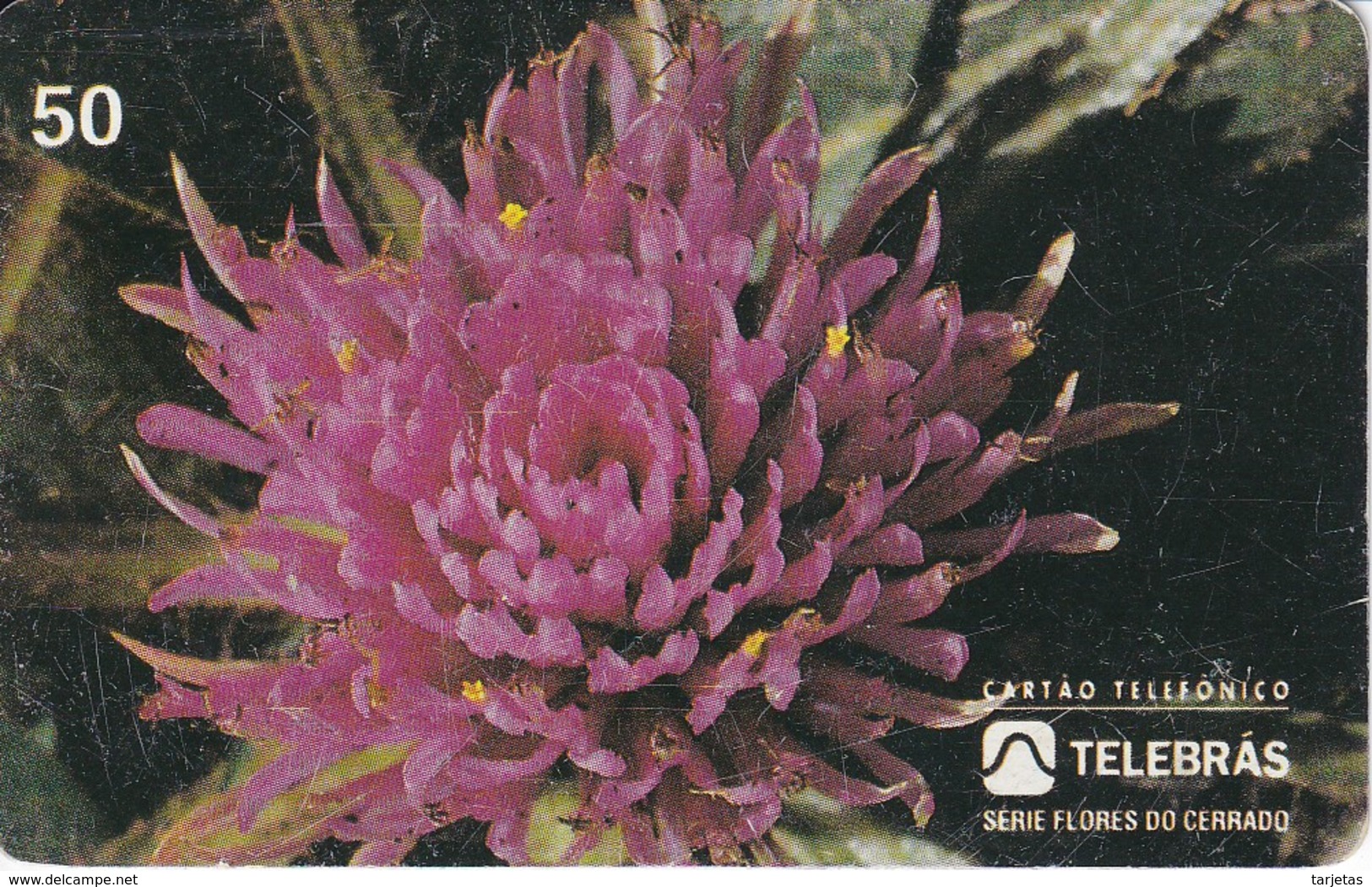 TARJETA DE BRASIL DE UNA FLOR (FLOR-FLOWER) - Flores