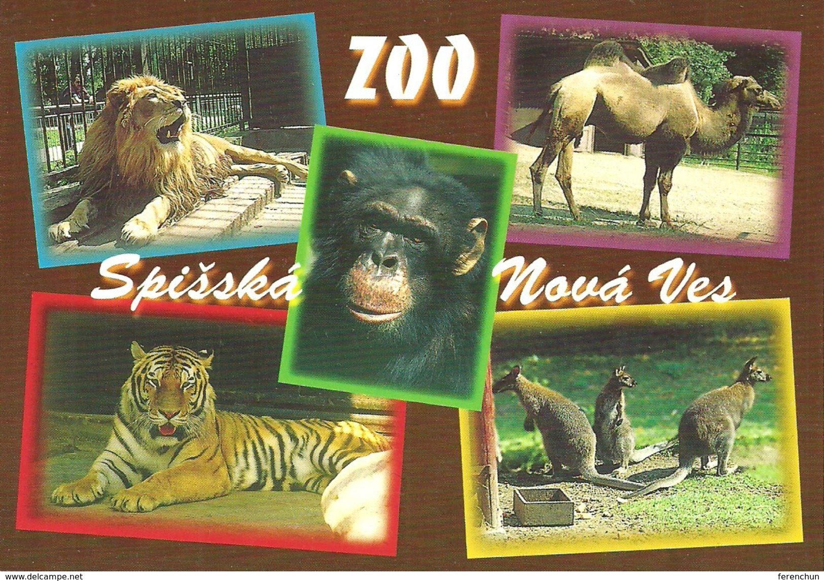 ANIMAL LION BACTRIAN CAMEL MONKEY CHIMPANZEE TIGER RED KANGAROO * ZOO SPISSKA NOVA VES IGLO * Lubafotopres 01 * Slovakia - Other & Unclassified