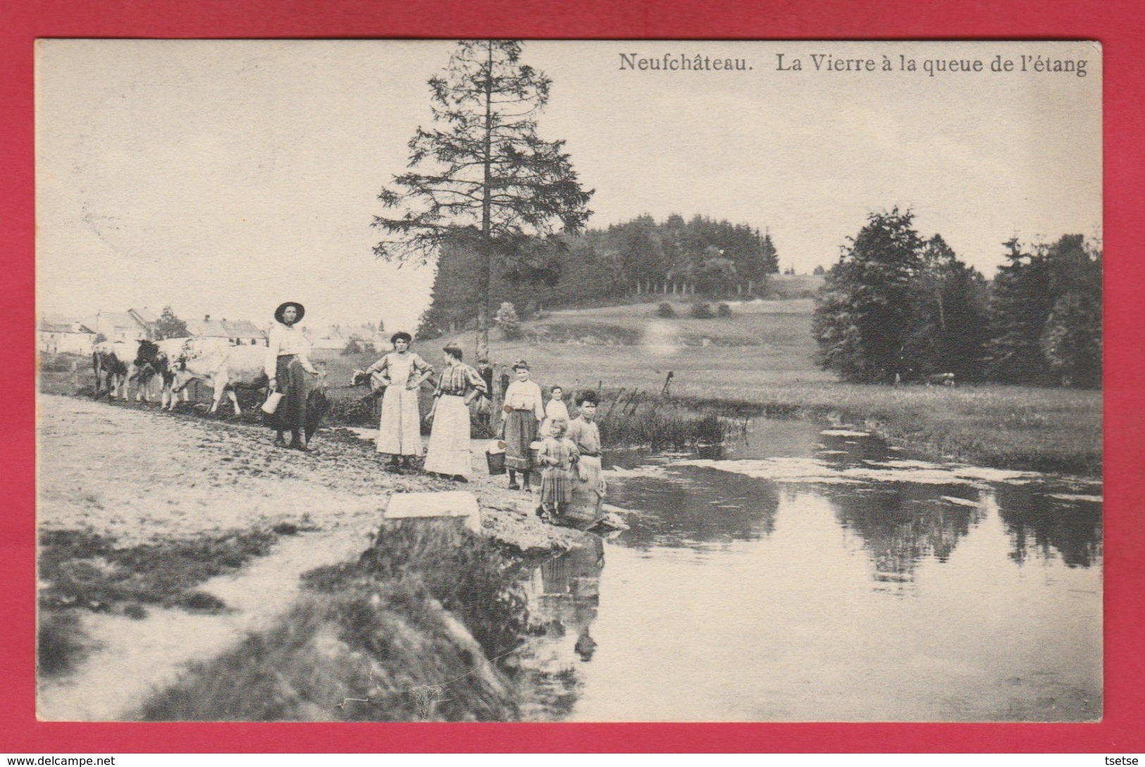 Neufchâteau - La Vierre à La Queue De L'étang... Scène Campagnarde  - 1911 ( Voir Verso ) - Neufchâteau