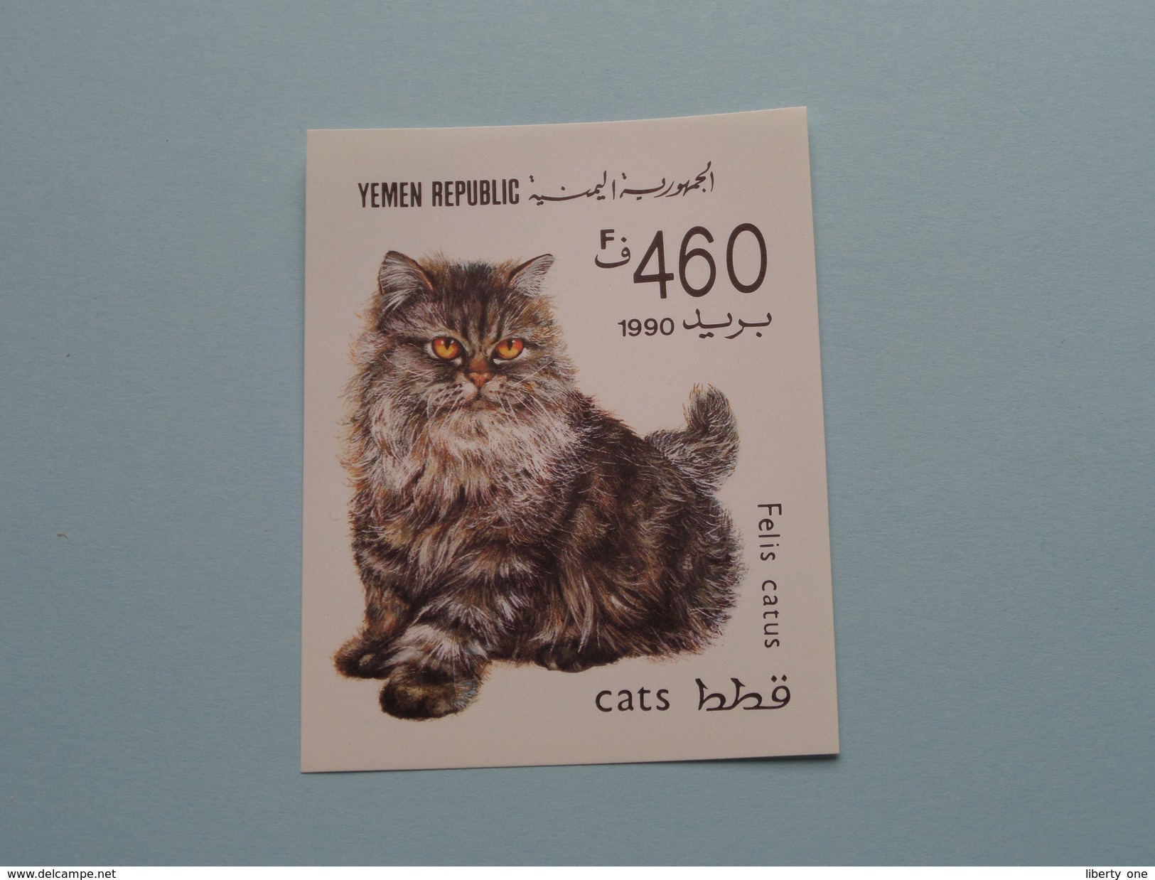CATS Felis Catus - 1990 ( Details, Zie Foto's Met Vergrotingen ) ! - Yemen