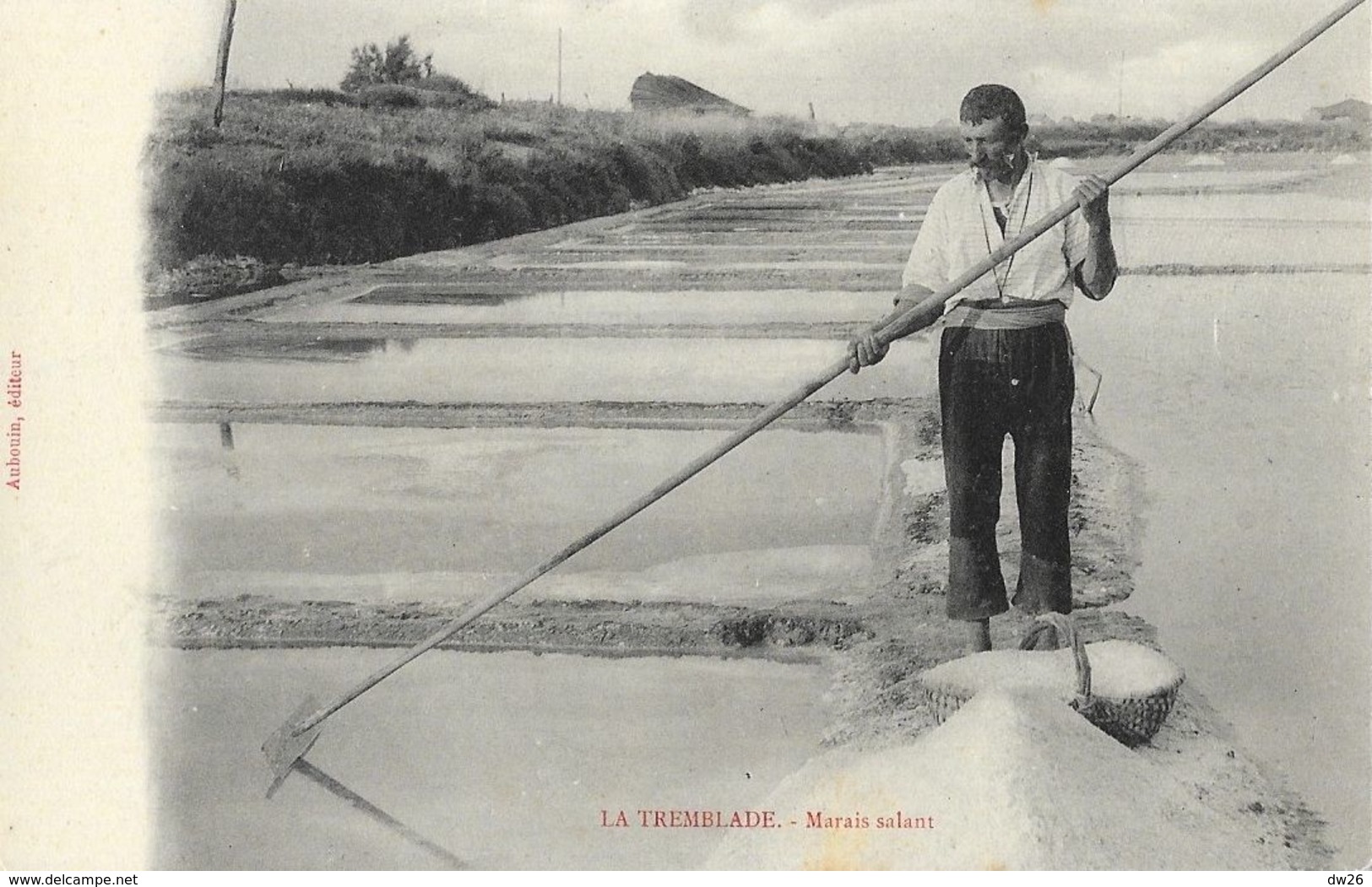 Paludier Récoltant Le Sel - La Tremblade, Marais Salants - Edition Aubouin - Carte Non Circulée - Altri & Non Classificati