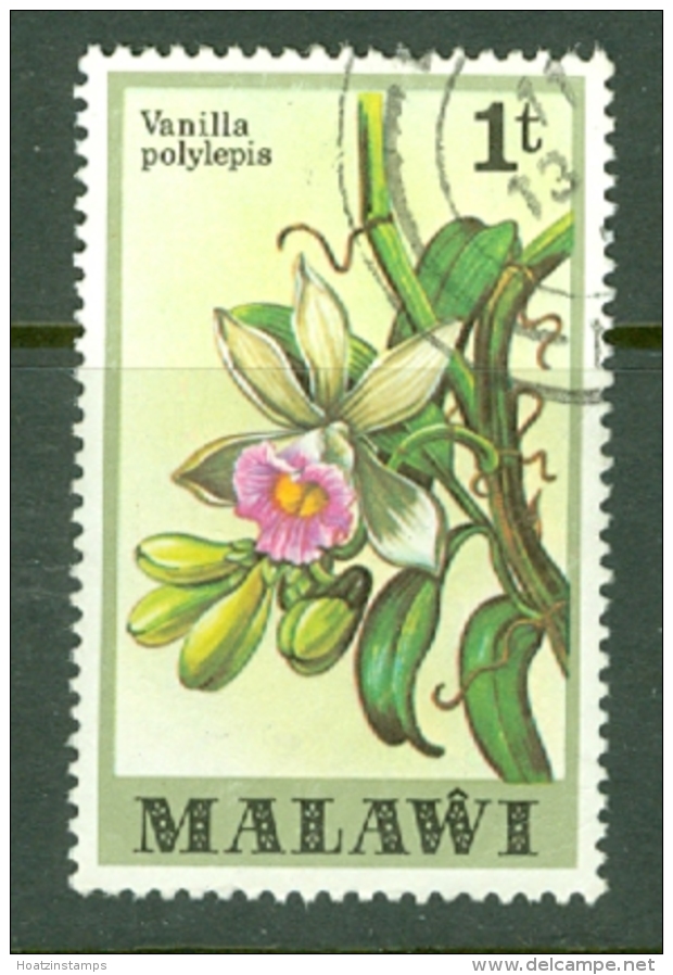 Malawi: 1979/82   Orchids   SG577    1t    Used - Malawi (1964-...)