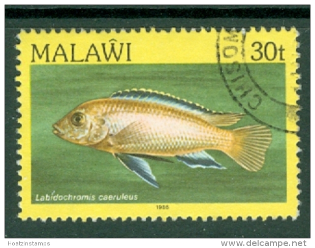 Malawi: 1984   Fishes   SG696    30t    Used - Malawi (1964-...)