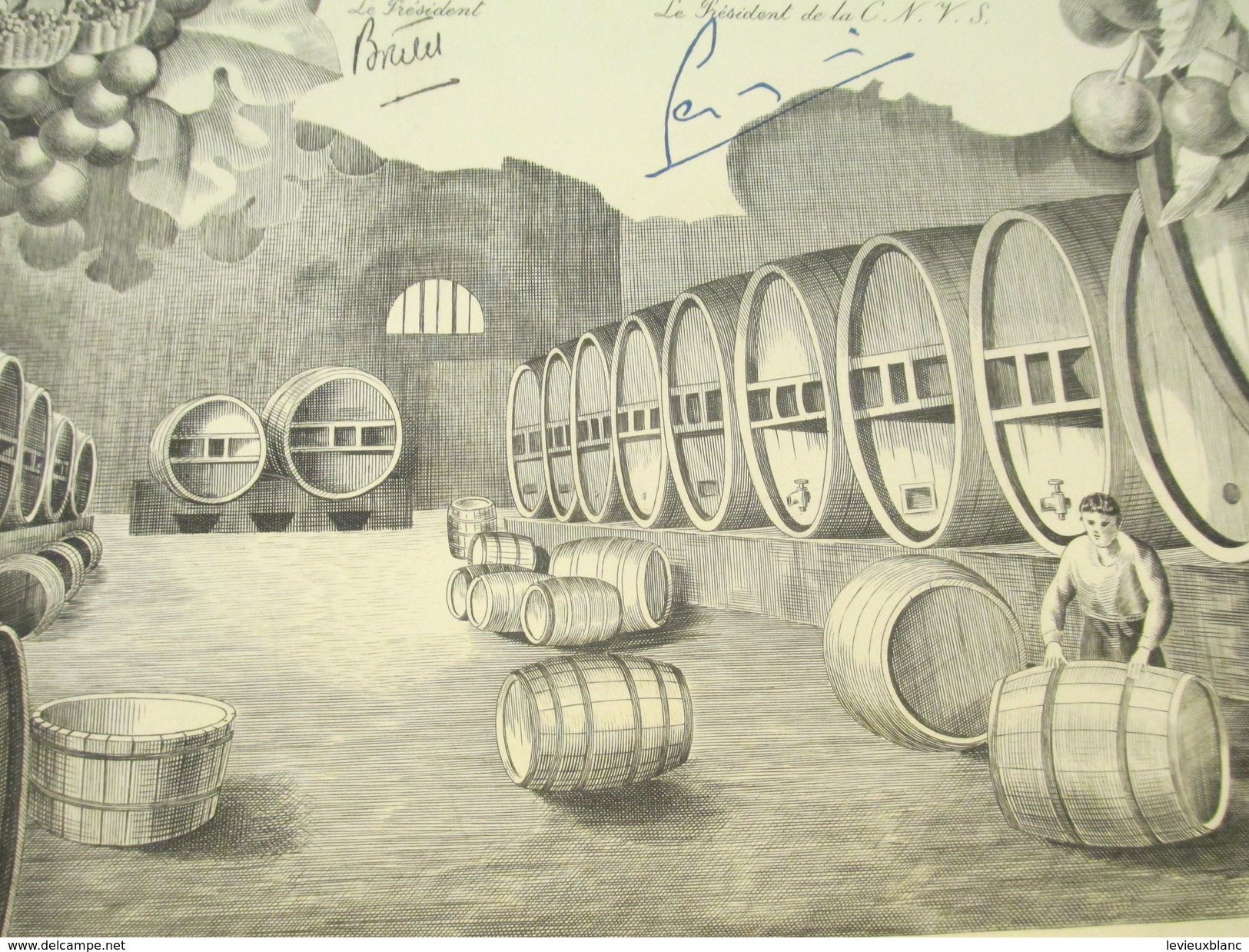 Diplôme/Conféd. Nat. Du Commerce En Gros Des Vins Cidres Spiritueux Et Liqueurs De France/LELONG/Cusenier/1962 DIP188 - Diploma & School Reports
