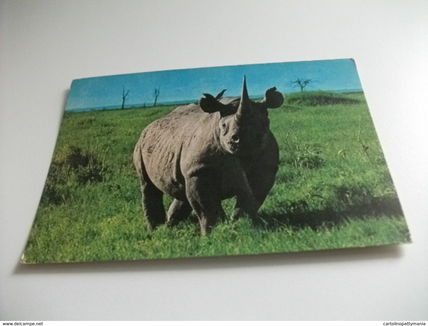 STORIA POSTALE FRANCOBOLLO COMMEMORATIVO  KENYA  RHINO RINOCERONTE - Rhinocéros