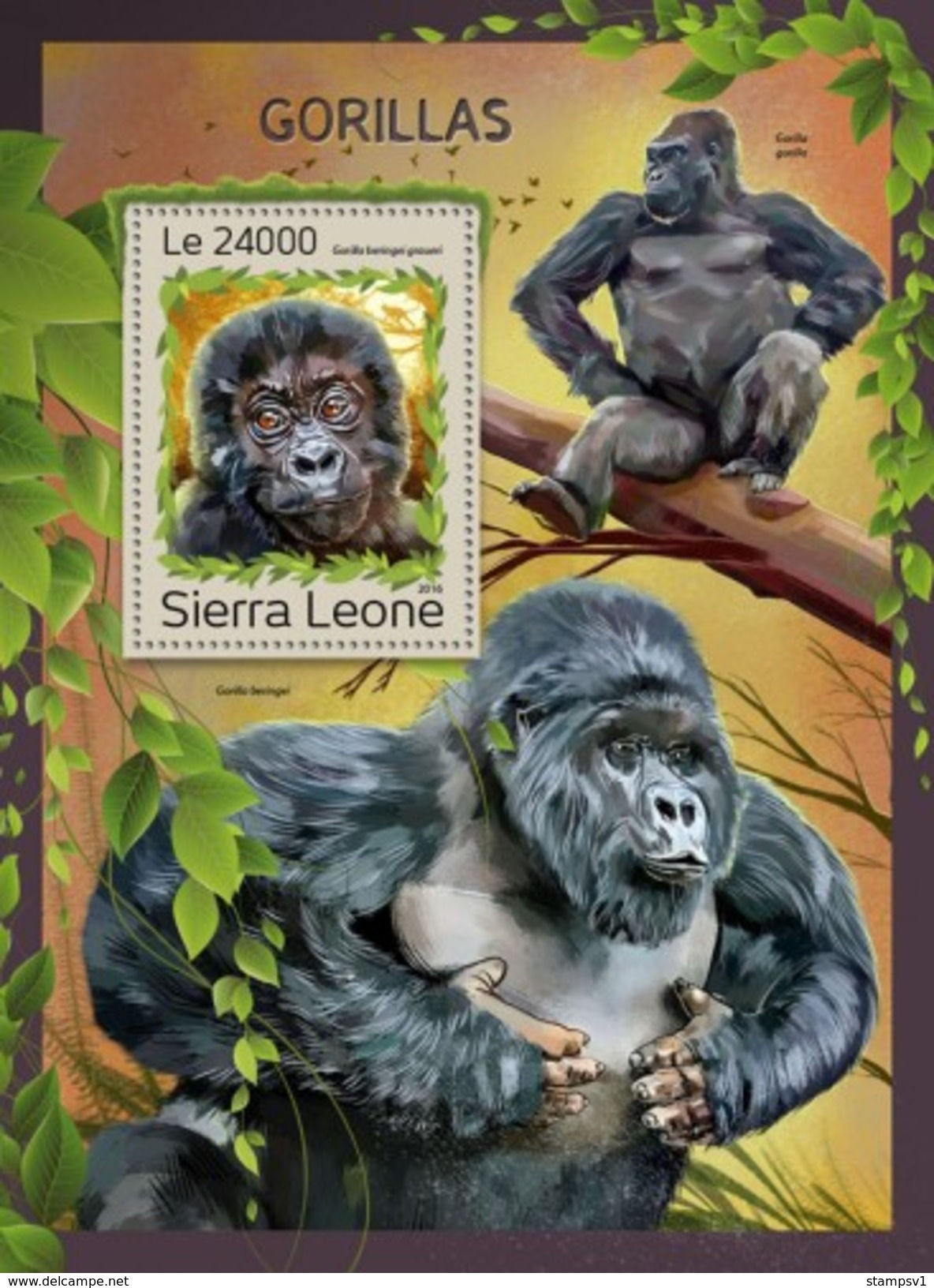 Sierra Leone. 2016 Gorillas. (1218b) - Gorilles