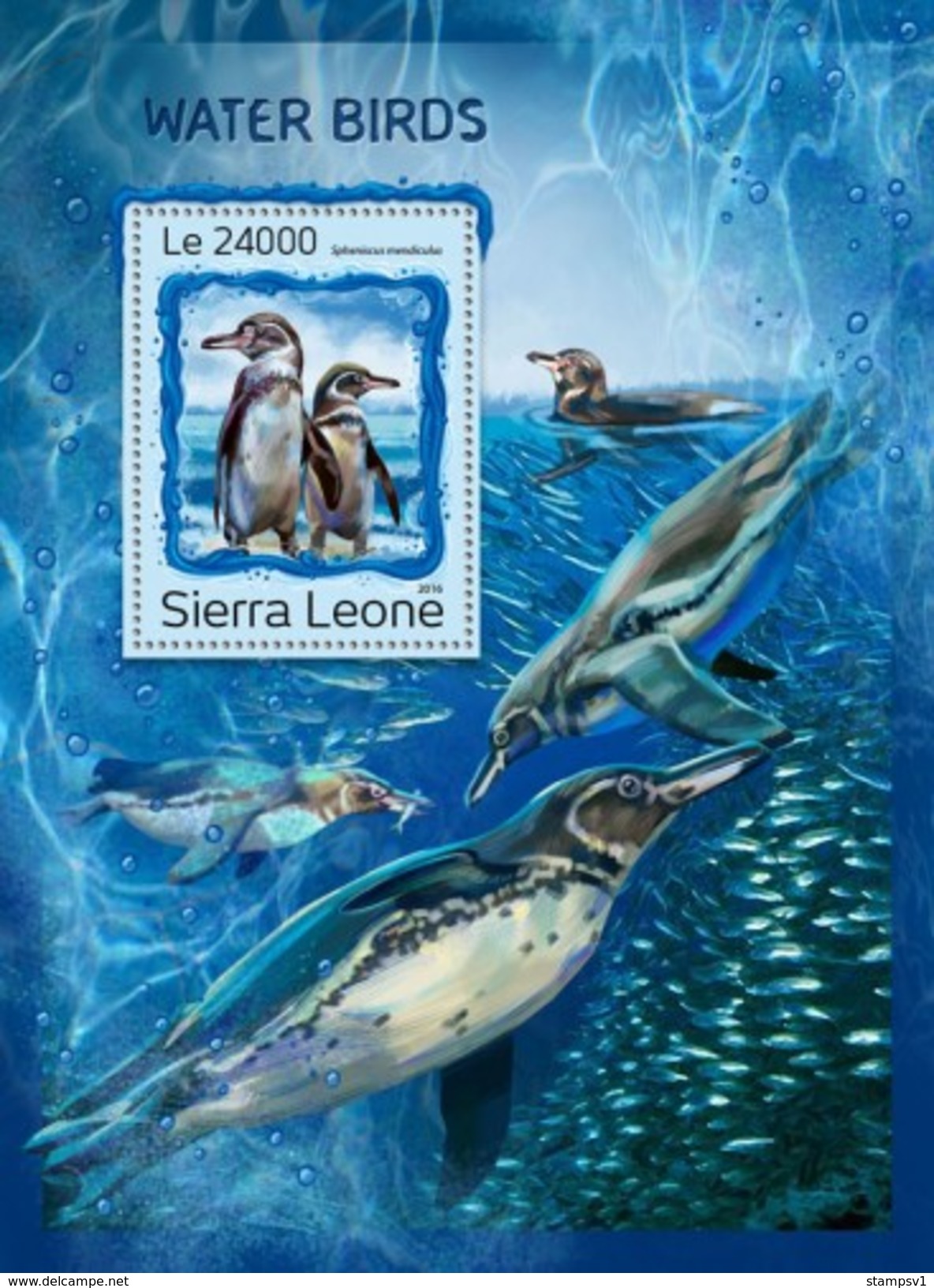 Sierra Leone. 2016 Water Birds. (1216b) - Pinguine