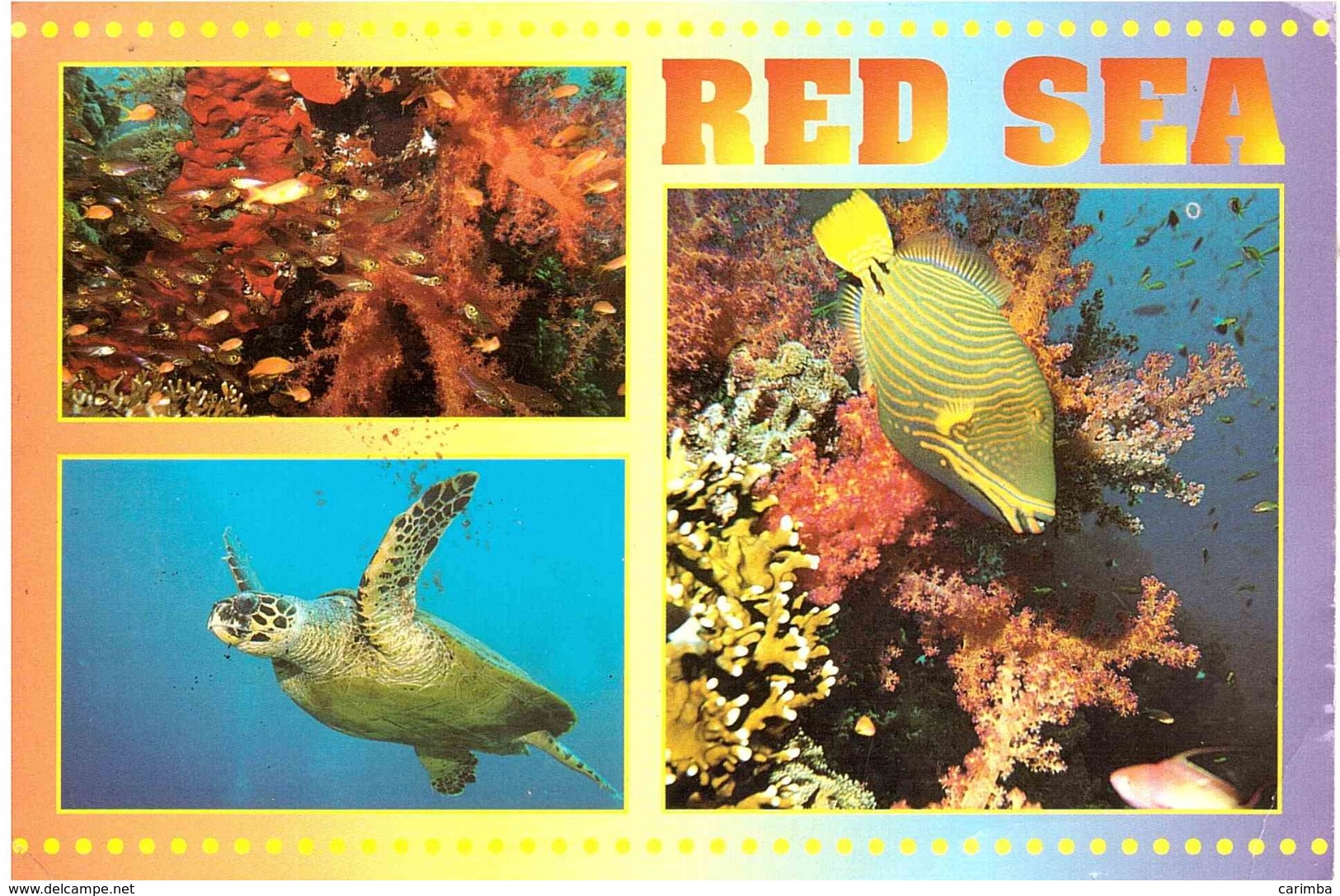 RED SEA - Sharm El Sheikh