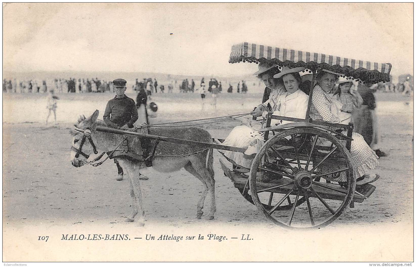 Malo Les Bains    59       Attelage D'ane Sur La Plage      (voir Scan) - Malo Les Bains