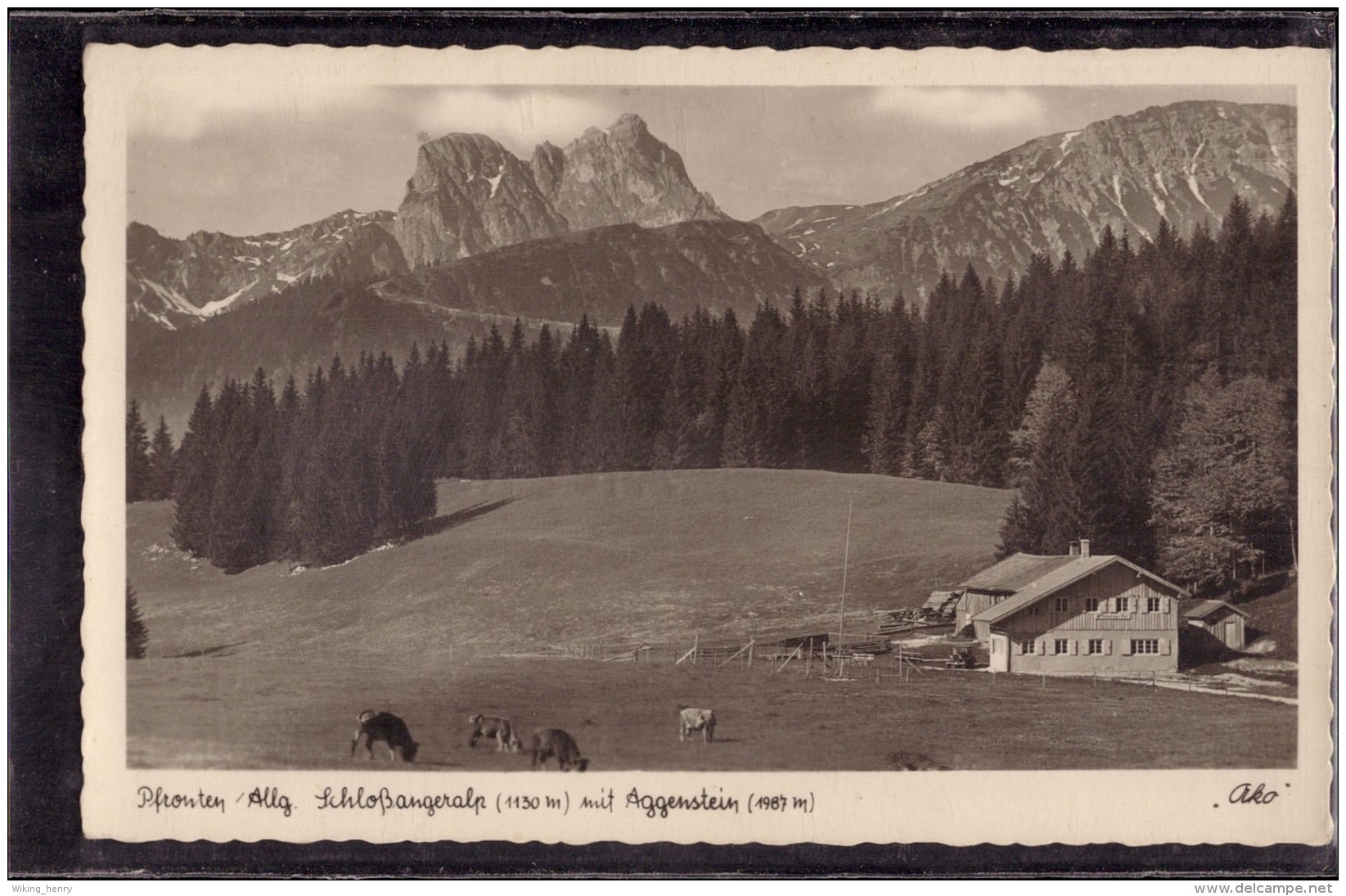 Pfronten - S/w Schloßangeralp Mit Aggenstein - Pfronten