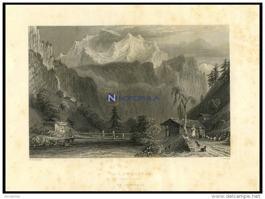 BERNER OBERLAND: Die JUNGFRAU Mit H&uuml;bscher Personen-und Tierstaffage Im Vordergrund, Stahlstich Von Bartlett/Jeavon - Lithographies