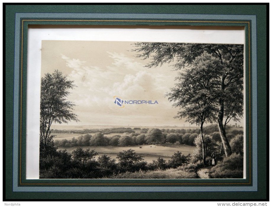 KOPENHAGEN: Aussicht Von Fortuna, Get&ouml;nte Lithographie Von Kierschou/ Baerentzen 1856 - Lithographies