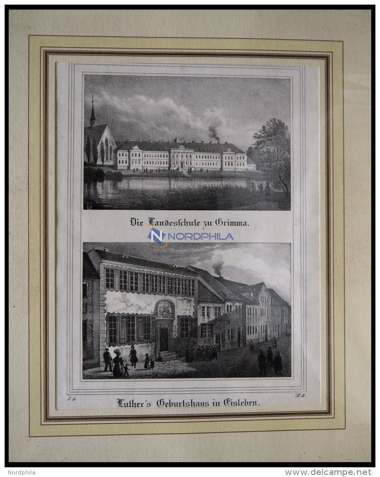 GRIMMA: Die Landesschule Und EISLEBEN: Luther`s Geburtshaus Auf Einem Blatt, Lithopraphie Aus Saxonia Um 1840 - Lithographies