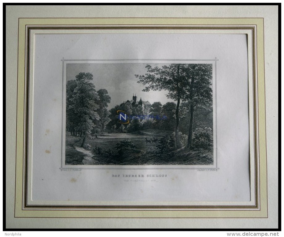 BAD IBURG: Das Schlo&szlig; Vom Tiergarten Aus Gesehen, Stahlstich Von Rohbock/H&ouml;fer Um 1840 - Lithographies