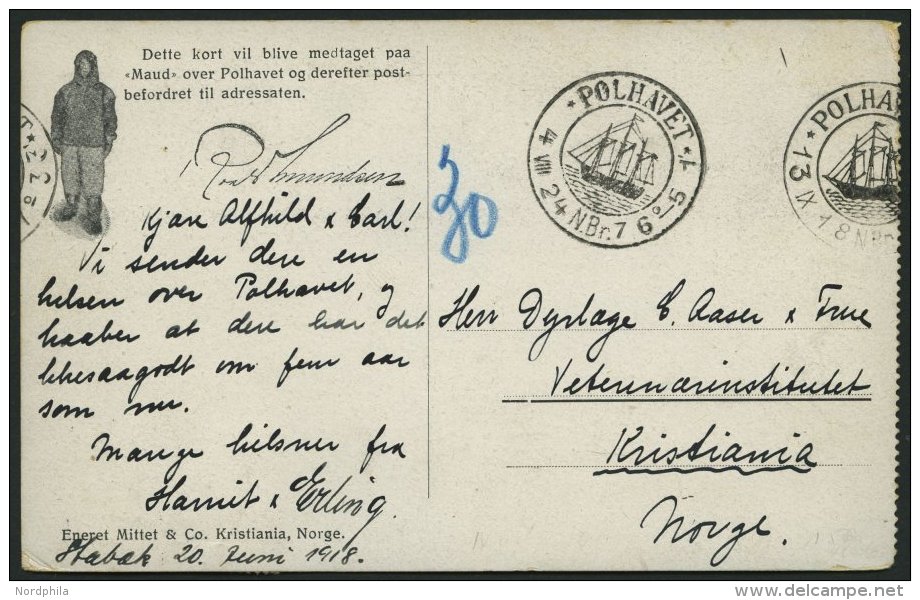 NORWEGEN P4 BRIEF, 1924, Fram - Karte, Links Gez&auml;hnt, Mit 2 X Michel Nr. P4 Nachporto Belegt, Einsprachiger Text, V - Other & Unclassified