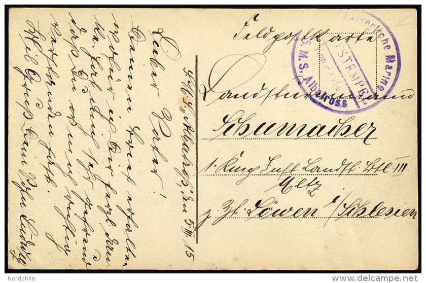 MSP VON 1914 - 1918 (Minendampfer ALBATROSS), 5.3.1915, Violetter Briefstempel (1. Form), Feldpost-Ansichtskarte Von Bor - Maritime