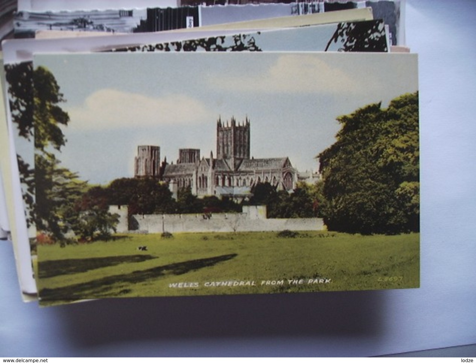 Engeland England Somerset Wells Cathedral From The Park - Wells