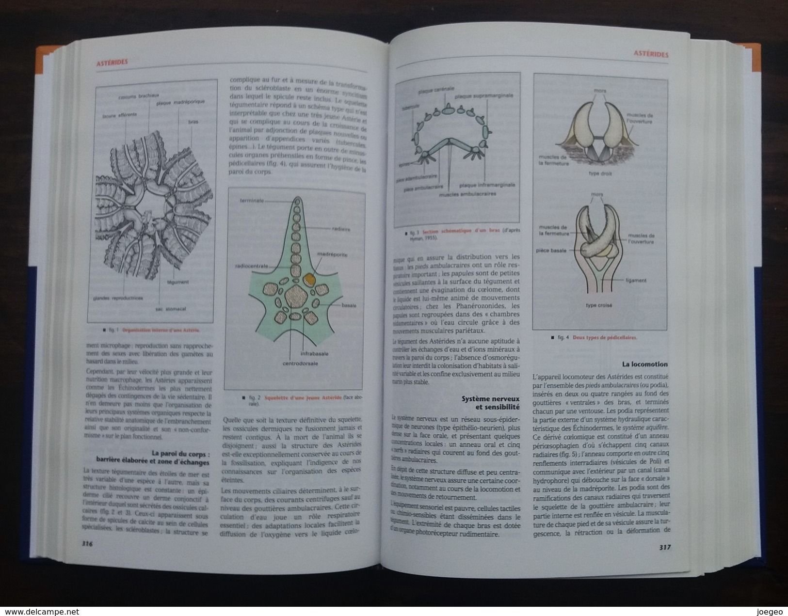 Encyclopedie Thématique Universalis - 22 Volumes - 2005 - Encyclopédies