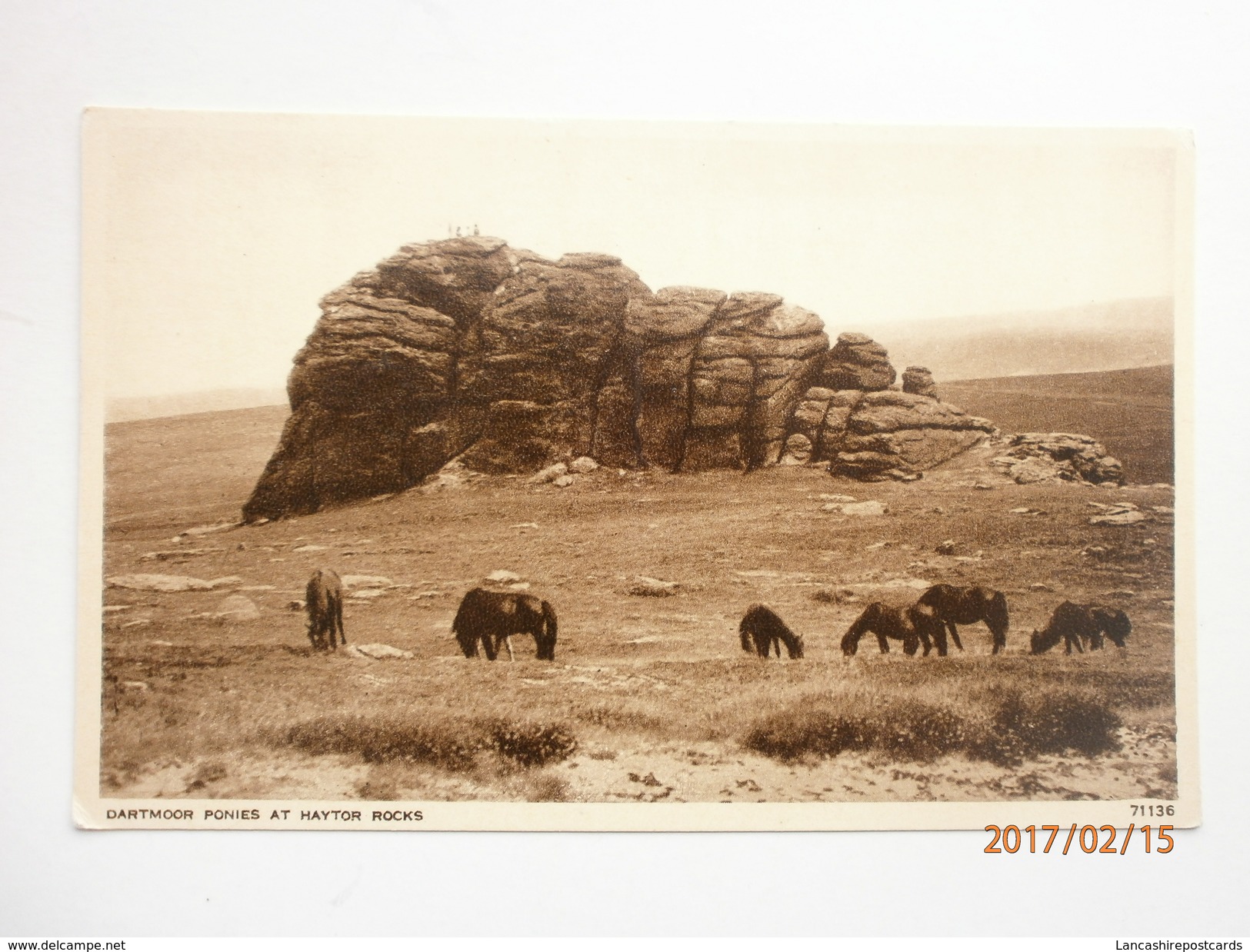 Postcard Dartmoor Ponies At Haytor Rocks Devon By Photochrom My Ref B1790 - Dartmoor