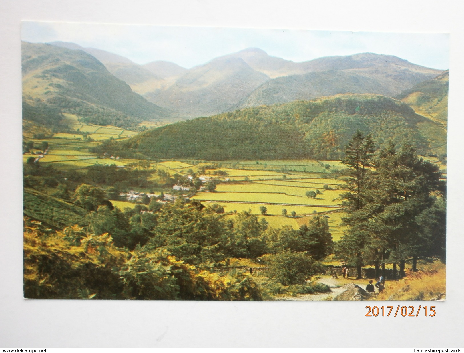 Postcard Borrowdale From Watendlath Path Lake District By Webster Of Kewick My Ref B1798 - Borrowdale