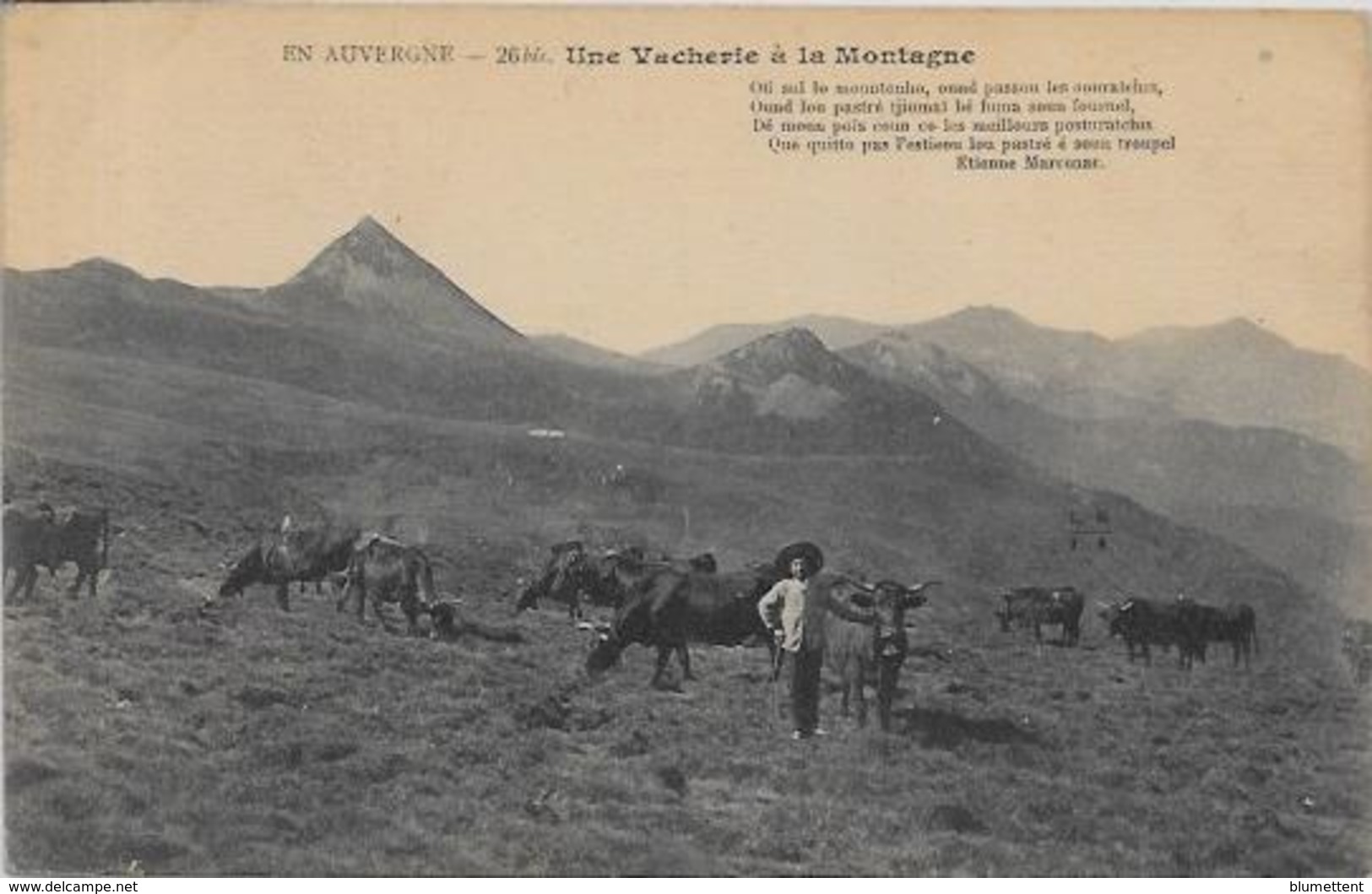 CPA Auvergne Métier Type Non Circulé - Auvergne