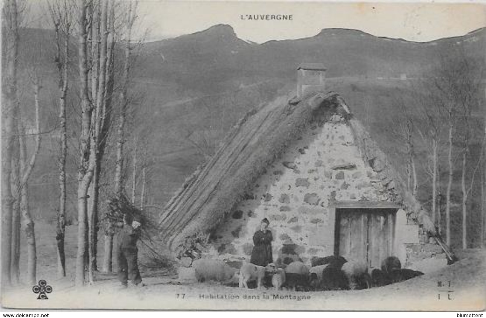 CPA Auvergne Métier Type Non Circulé - Auvergne