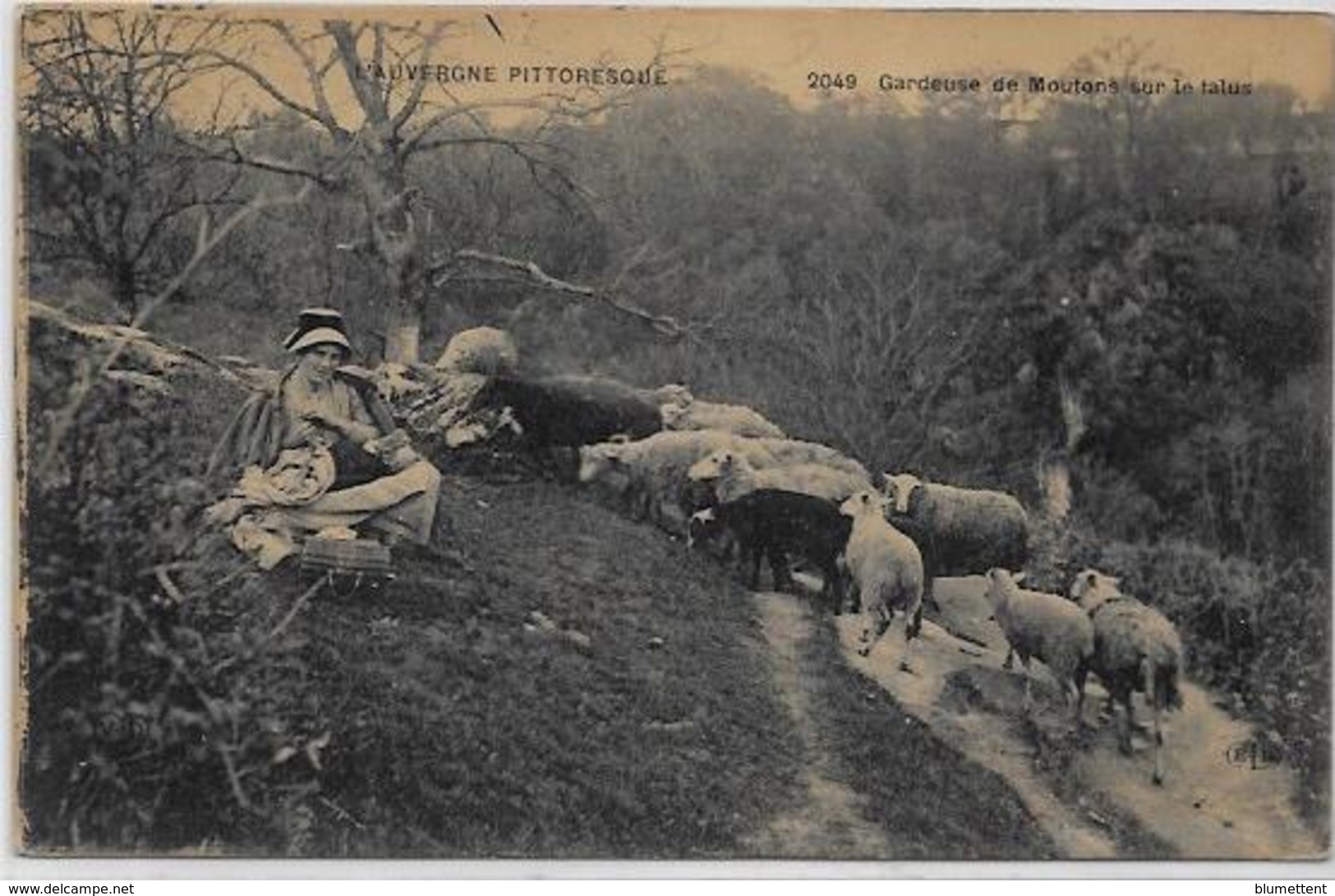 CPA Auvergne Métier Type Circulé Moutons - Auvergne