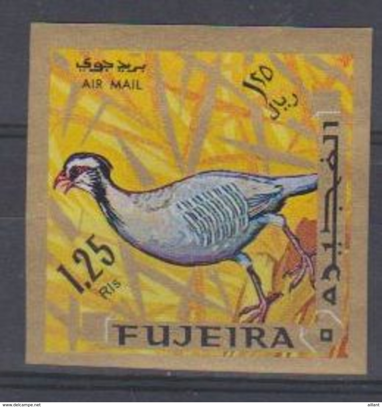 Fujeira. 1969.  Arabian Partridge    Alectoris Melanocephala - Patrijzen, Kwartels