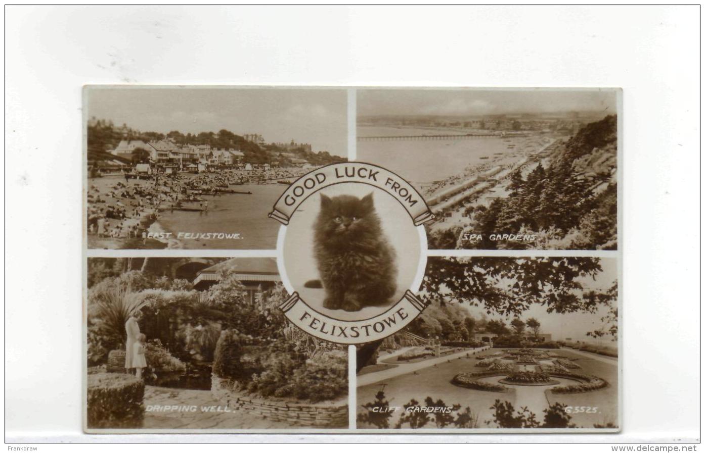 Postcard - Felixstowe 4 Views Plus Cat - Posted 20th July 1938 Very Good - Unclassified