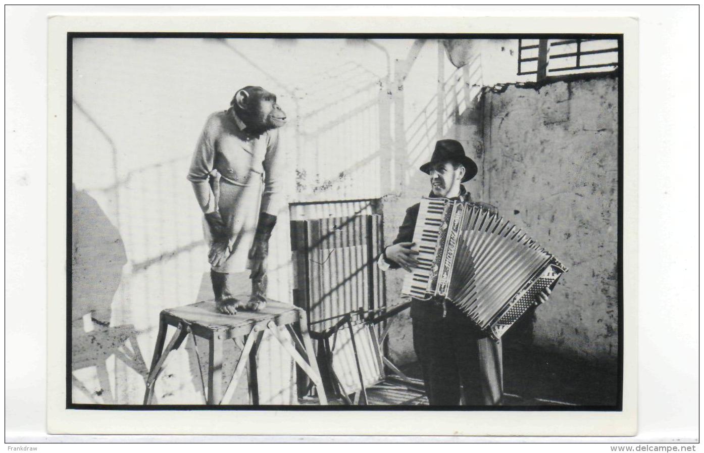 Postcard - Jimmy Kennedy, Composer Of Red Sails In The Sunset &amp; Friend Very Good - Unclassified