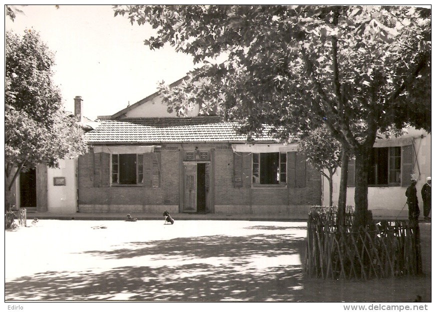 ALGERIE -  BESSOMBOURG Société Des Lieges Exploitation De Petite Kabylie L'entrée Des Bureaux  Neuve Excellent état - Autres & Non Classés