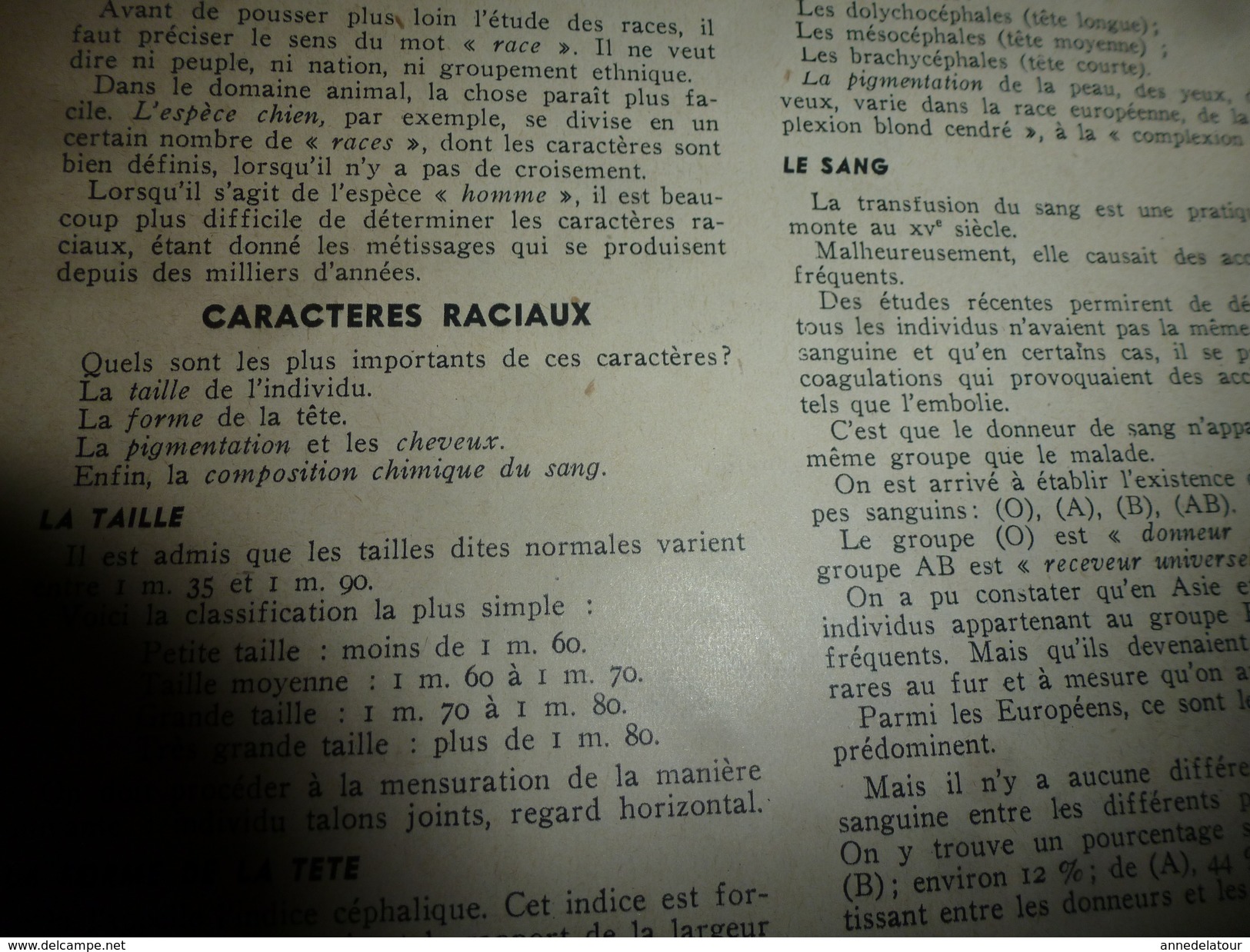 1938 MATCH:Munich +++;Ruée vers l'OR à Yellowknif +++;3 grde races en Europe;Qu'est-ce un FRANCAIS ?;Coureuse-cycliste