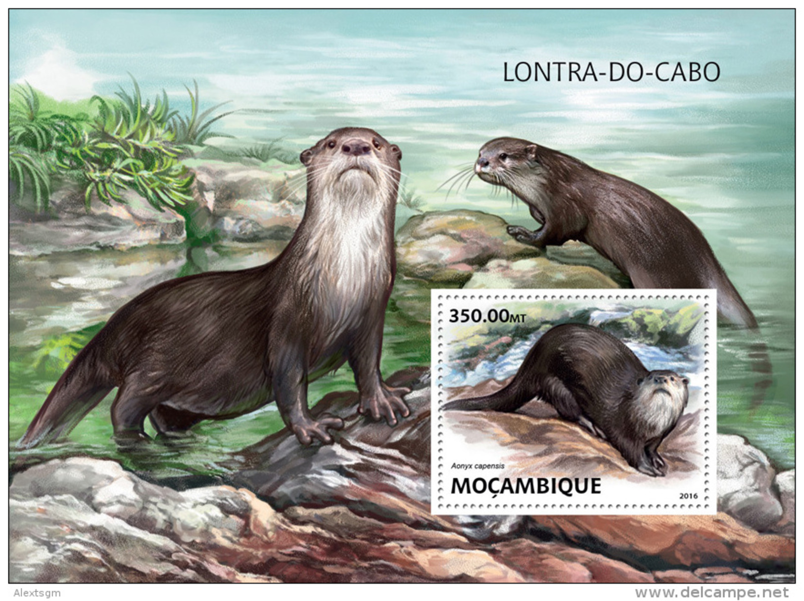 MOZAMBIQUE 2016 - WWF African Otter S/S. Official Issue - Sonstige & Ohne Zuordnung