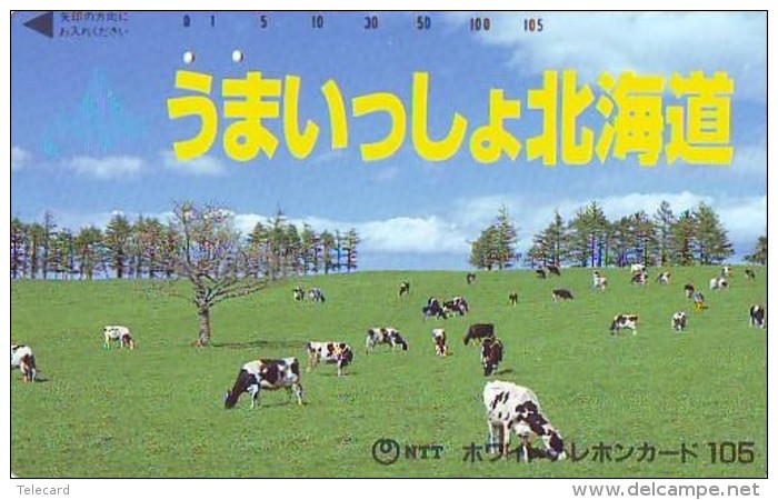 Télécarte JAPON *  * VACHE (696) COW * KOE * BULL * TAUREAU * KUH * PHONECARD JAPAN * TELEFONKARTE * VACA TAURUS - Cows