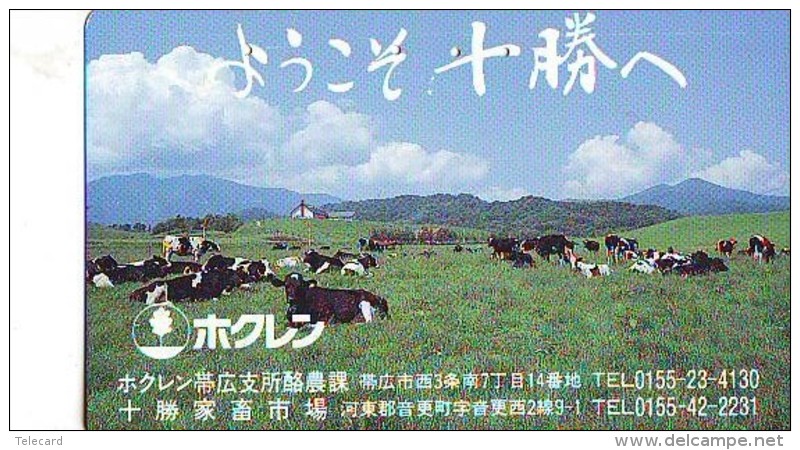 Télécarte JAPON *  * VACHE (698) COW * KOE * BULL * TAUREAU * KUH * PHONECARD JAPAN * TELEFONKARTE * VACA TAURUS - Vacas