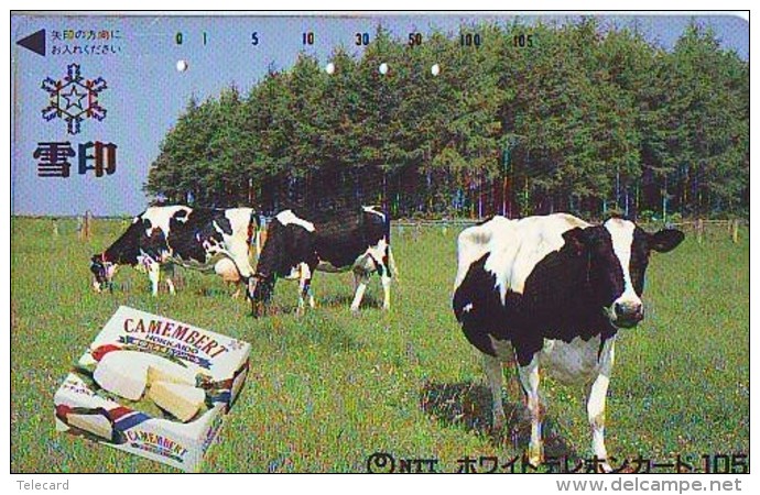 Télécarte JAPON * CAMEMBERT * VACHE (701) COW * KOE * BULL * TAUREAU * KUH * PHONECARD JAPAN * TK * VACA TAURUS - Koeien