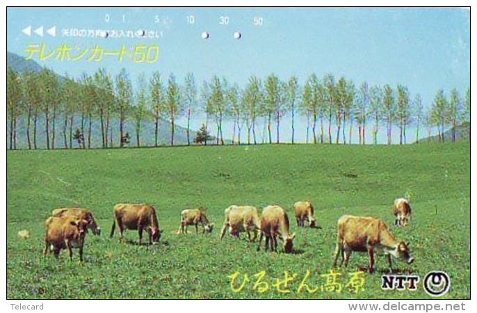 Télécarte JAPON * 350-264 * VACHE (702)  COW * KOE * BULL * TAUREAU * KUH * PHONECARD JAPAN * TK * VACA TAURUS - Cows