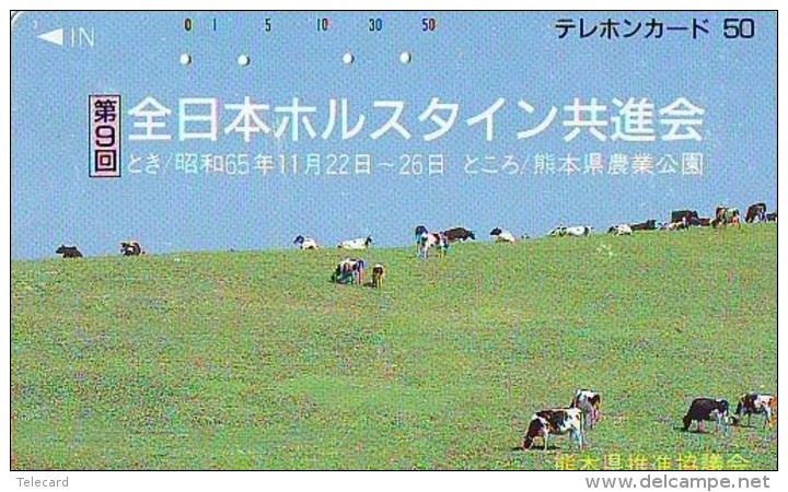 Télécarte JAPON * 390-1178 * VACHE (704)  COW * KOE * BULL * TAUREAU * KUH * PHONECARD JAPAN * TK * VACA TAURUS - Mucche