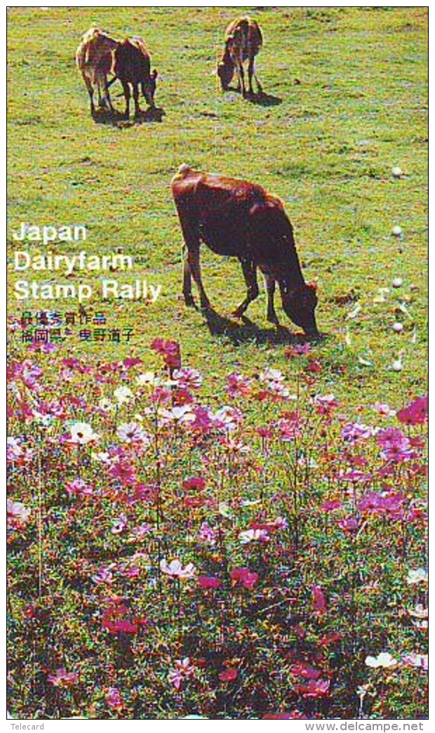 Télécarte JAPON *  * VACHE (715)  COW * KOE * BULL * TAUREAU * KUH * PHONECARD JAPAN * TK * VACA TAURUS - Vacas