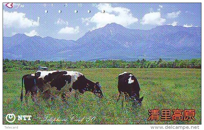 Télécarte JAPON * 250-447 * VACHE (718)  COW * KOE * BULL * TAUREAU * KUH * PHONECARD JAPAN * TK * VACA TAURUS - Vaches