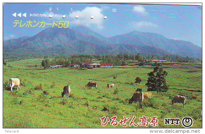 Télécarte JAPON * 350-243 * VACHE (720)  COW * KOE * BULL * TAUREAU * KUH * PHONECARD JAPAN * TK * VACA TAURUS - Cows